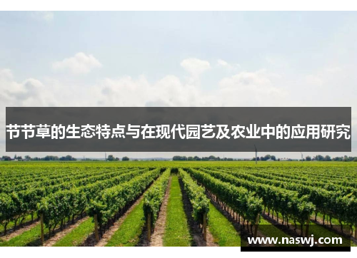 节节草的生态特点与在现代园艺及农业中的应用研究 节节草的生态特点与在现代园艺及农业中的应用研究