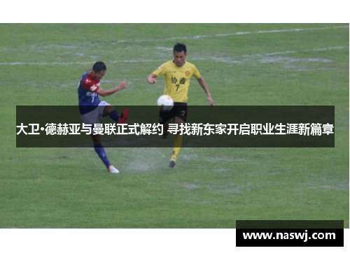 大卫·德赫亚与曼联正式解约 寻找新东家开启职业生涯新篇章